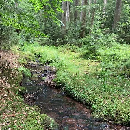 Zum Wohlfuehlen Apartment *