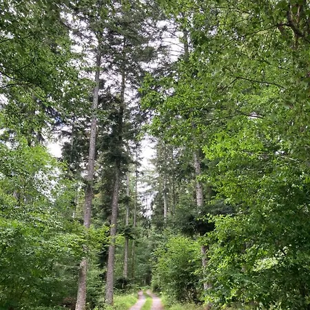 Apartment Zum Wohlfuehlen